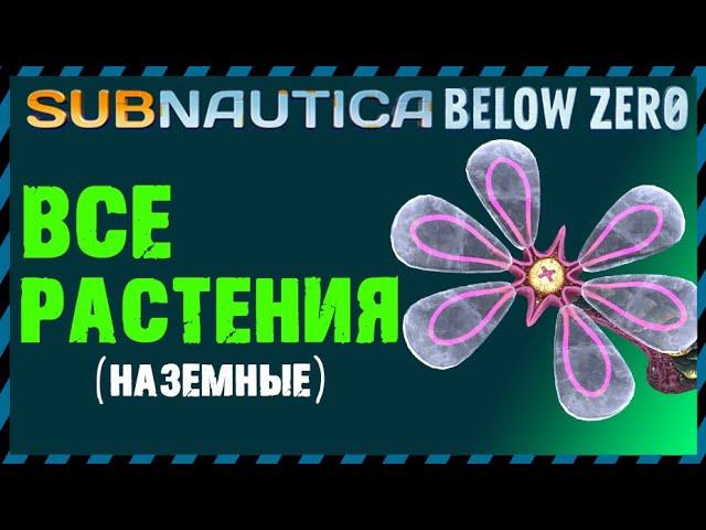 Subnautica Below Zero ВСЕ РАСТЕНИЯ (наземные)