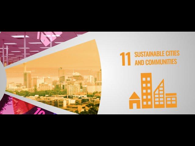 Sustainability at the University of Auckland - SDG 11 (Sustainable Cities and Communities)