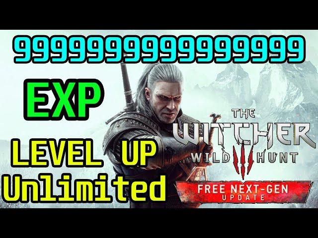 LEVEL UP Unlimited The Witcher 3 Wild Hunt Level Up Fast 250 EXP FAST NEW *2023 - 2024*