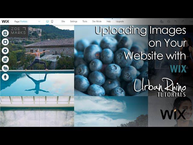 How to Upload & Change Images on Your Wix Website