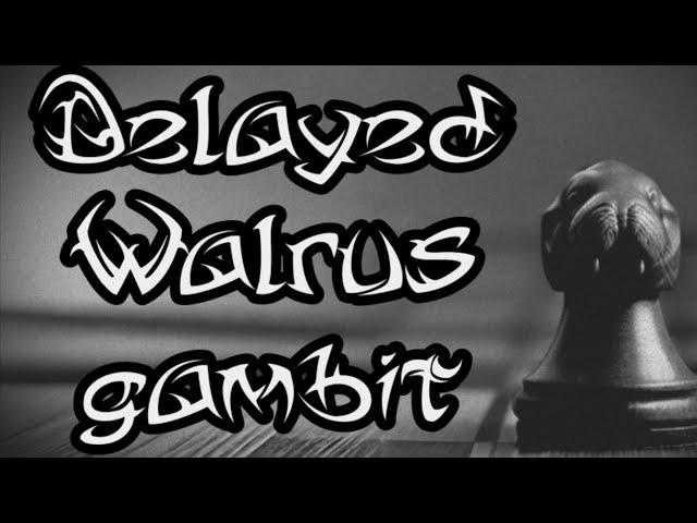 Delayed Walrus gambit