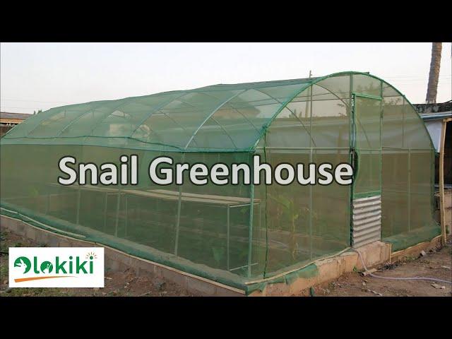 How to construct a Snail Greenhouse || Snail housing Ep1.