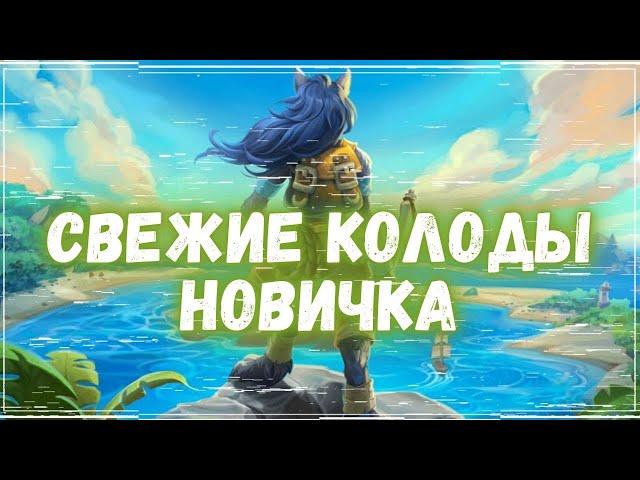 КОЛОДЫ НОВИЧКА ОБНОВЛЕНЫ В HEARTHSTONE! | ОСЕНЬ 2024 | РАЗДОР В ТРОПИКАХ #хс #хартстоун #hs