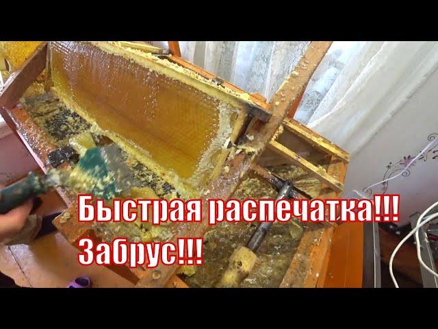 ОТКАЧКА МЁДА, ВСКРЫТИЕ РАМОК ЭЛЕКТРО ФЕНОМ И ЭЛЕКТРО СКРЕБКОМ ИЗ ПАЯЛЬНИКА