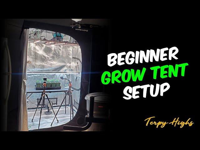 Building a Complete Grow Tent Setup for Beginners Everything NEEDED!