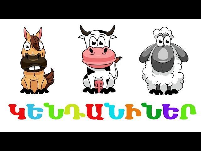 ԸՆՏԱՆԻ ԿԵՆԴԱՆԻՆԵՐ |  BoPo kids TV