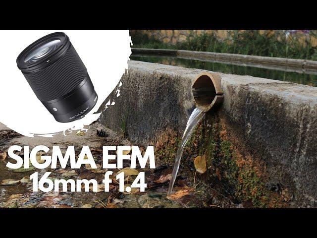 Sigma 16mm 1.4 + Canon M50mk2 | Cinematic Video Test 4K