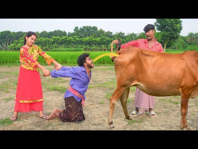 Totally Top New  Funniest Comedy Video Must Watch Viral Funny Video 2023 Ep 174 Haha Idea