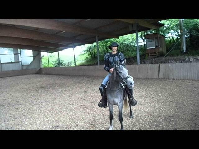 Breaking A Horse Properly With Alvin R Boudy Jr (part 12)