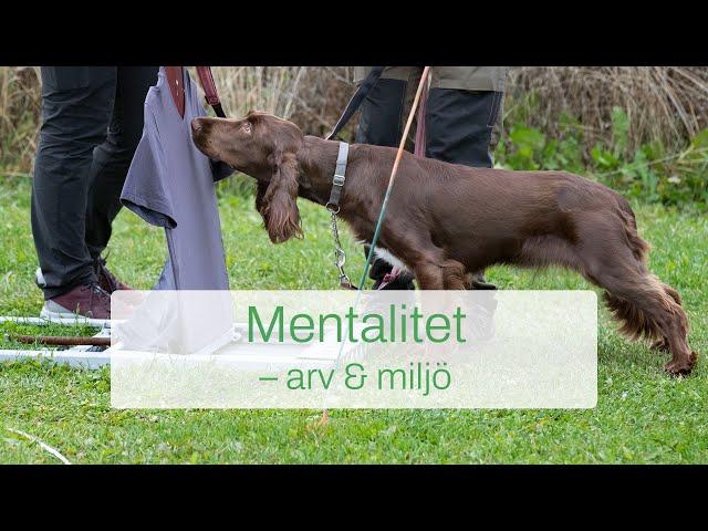 Mentalitet - arv och miljö