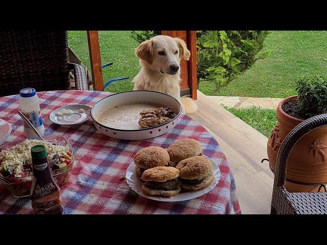 Outdoor BBQ Burgers And Golden Retriever Waiting For Burger