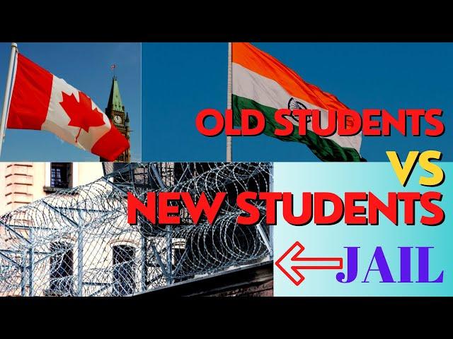 International students fight Canada | Old students vs New students | jassrose sandhu