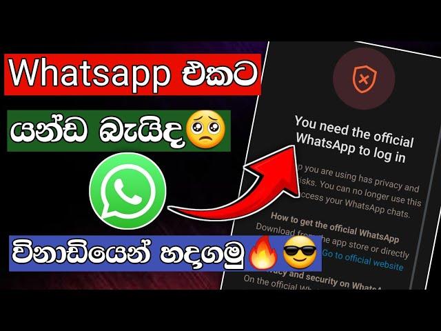 you need the official whatsapp to log in problem fix sinhala | 2024