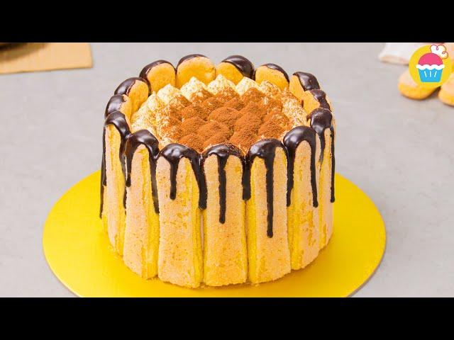 Torta tiramisù | Come fare la torta tiramisù | Che Dolce