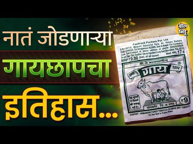 Marathi Manus जिद्दीला पेटला आणि Sangamner मध्ये गायछाप ब्रँड उभा राहिला I Gaaychaap Story