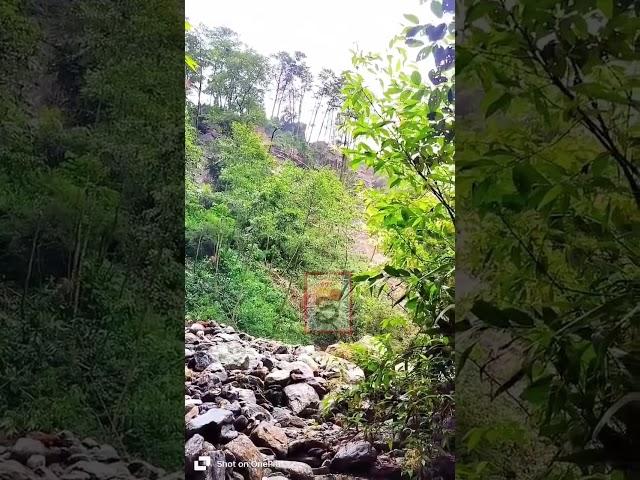 Major landslide at REL KHOLA, Near NAGA FALLS, North Sikkim today 5th July.