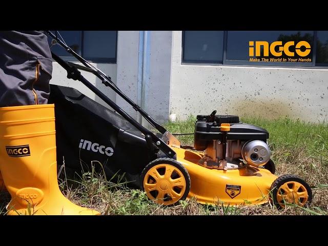 Gasoline lawn mower ingco - ماكنة ثيل بانزين انجيكو