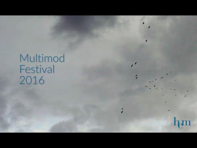 Festival Multimod Performer - Composer