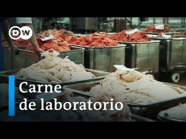 El consumo de carne y sus alternativas | DW Documental
