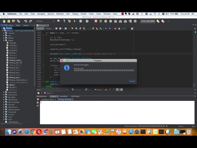 C/C++ Debugging in Apache NetBeans 11.1