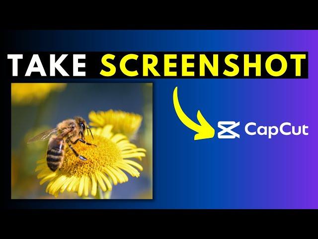 How to Take Video Screenshots in CapCut for Windows PC - Export Still Frame in CapCut