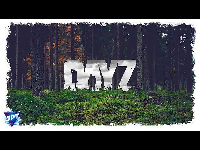 DayZ / СТРИМ №3/ PVE