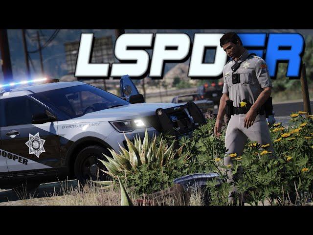 Arizona state trooper undertakes thieves - GTA 5 LSPDFR