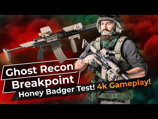 Best Honey Badger Loadout - Ghost Recon Breakpoint