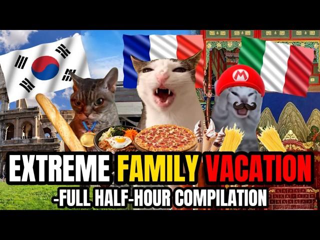 CAT MEMES: A FAMILY VACATION FULL MOVIE