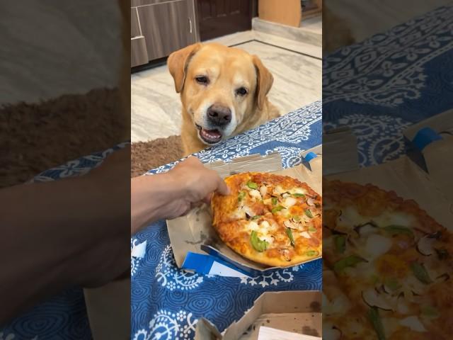 Leo ne mera pizza kha liya #shorts #minivlog | Anant Rastogi