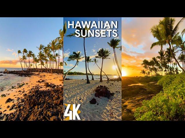 2 HRS Peaceful Ambience of Ocean Sunsets for Vertical Screens - 4K Amazing Hawaiian Sunsets