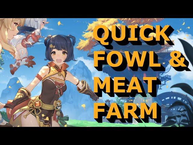 Genshin Impact: 2 Mins Quick Daily Fowl & Meat Farm Route