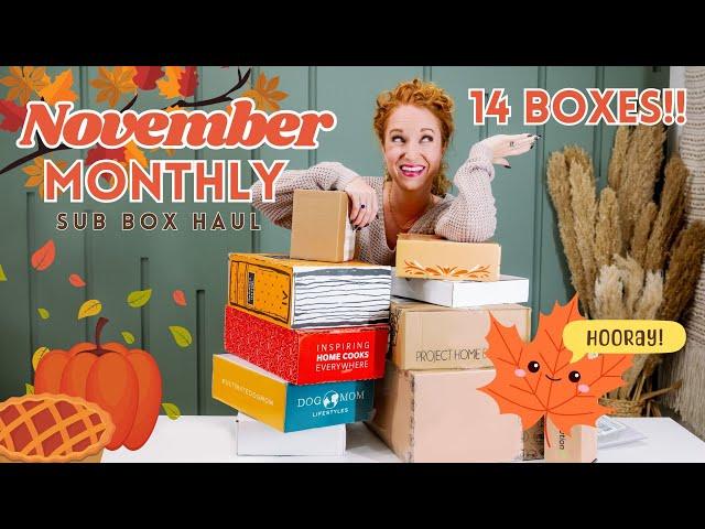 Monthly Subscription Box Haul - November 2023 | New Boxes + Holiday Gifts