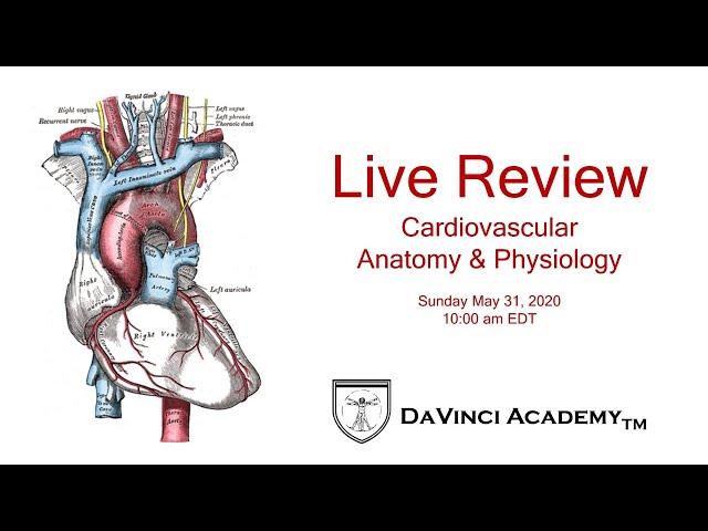 Live Review of Cardiovascular Anatomy & Physiology