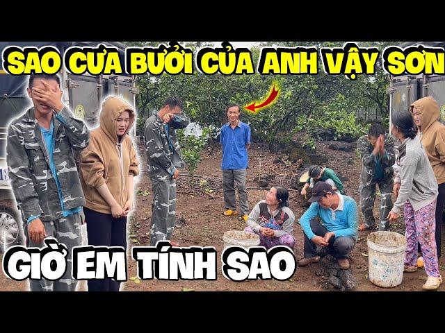 Đang Rầu Thúi Ruột Thì Sơn Báo Tá Hỏa Bị Bắt Đền Cây Bưởi Của Thằng Ba Báo Cưa Hôm Trước