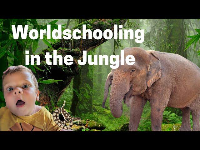WORLDSCHOOLING day in the JUNGLE in PAI, THAILAND | ELEPHANTS, SNAKES & PAPAPYA