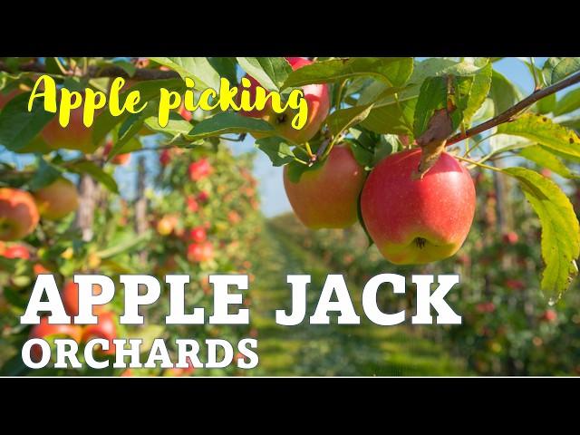 Planning your FALL activities? | Apple Jacks Orchard: Apple Picking, Pumpkin Patch, & More!