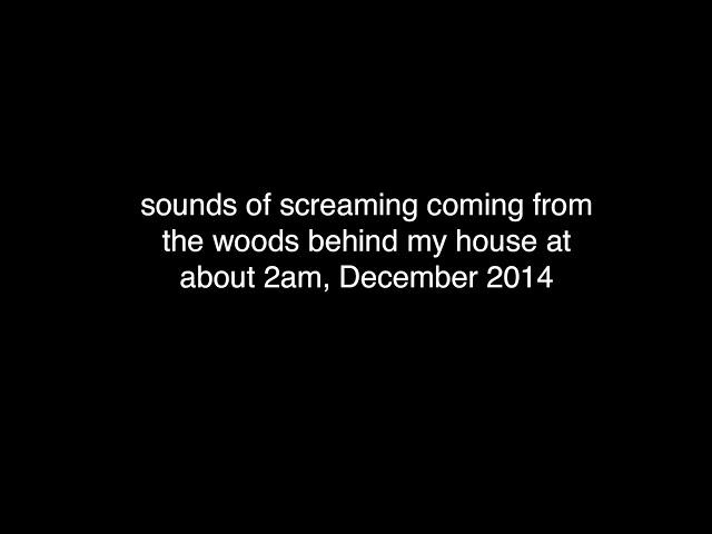 unexplained screaming coming from the woods