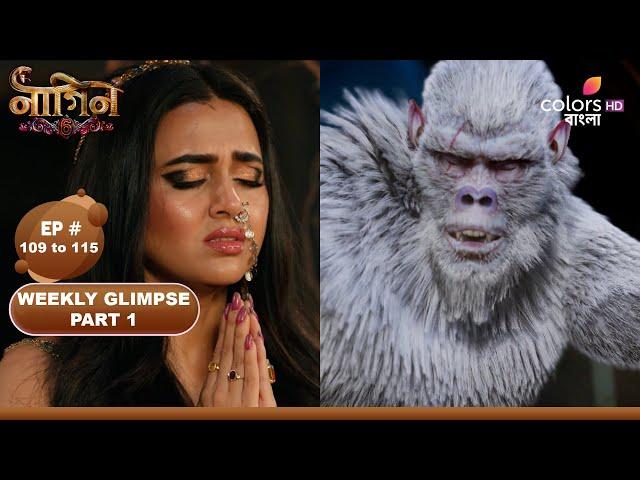 Naagin S6 | নাগিন S6 | Episode 109  to 115 | Part 1 | Colors Bangla