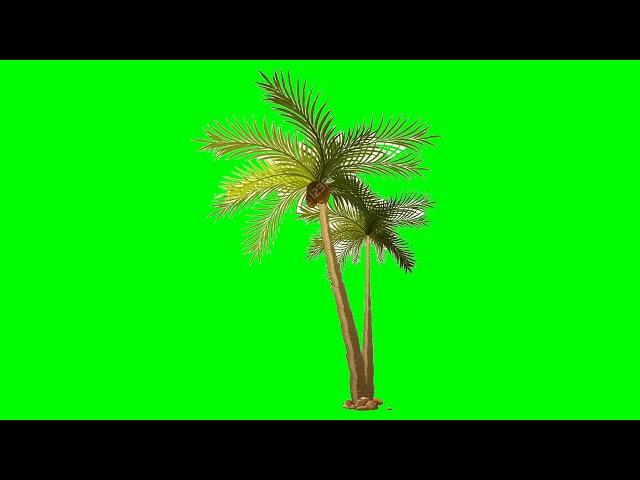 Green screen nariyal coconut tree kinemaster chroma key video editor