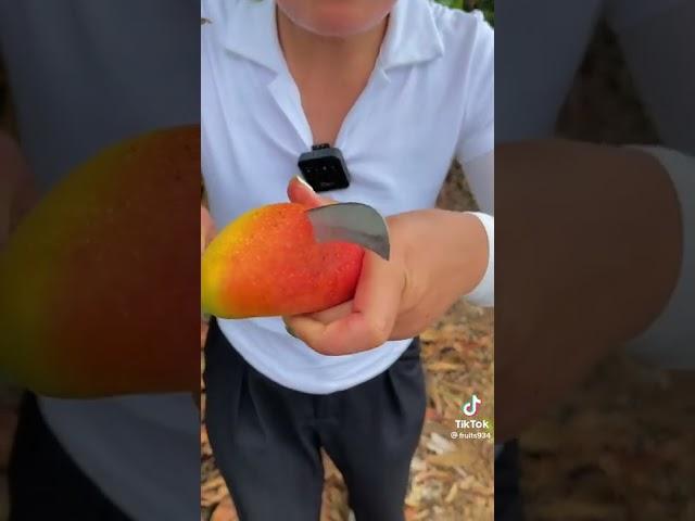 mia jaki mango 