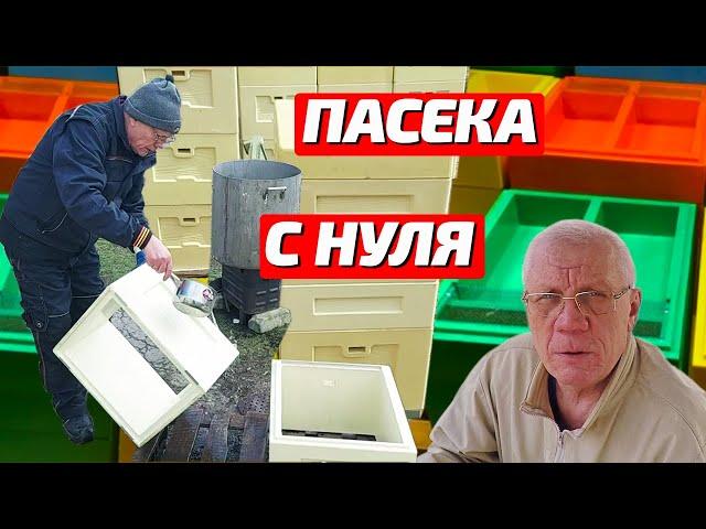 Как начать пасеку с нуля Как завести пчел