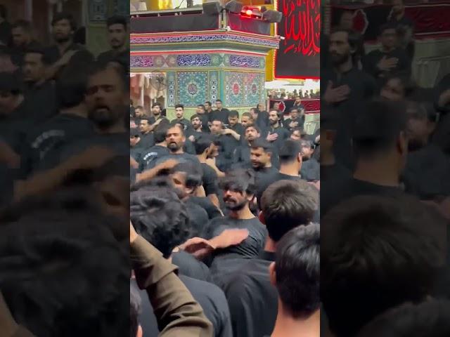 Azadari // imam Ali holy shrine Najaf ashraf #imamali #azadari #najafashraf #karbala #imamhussain