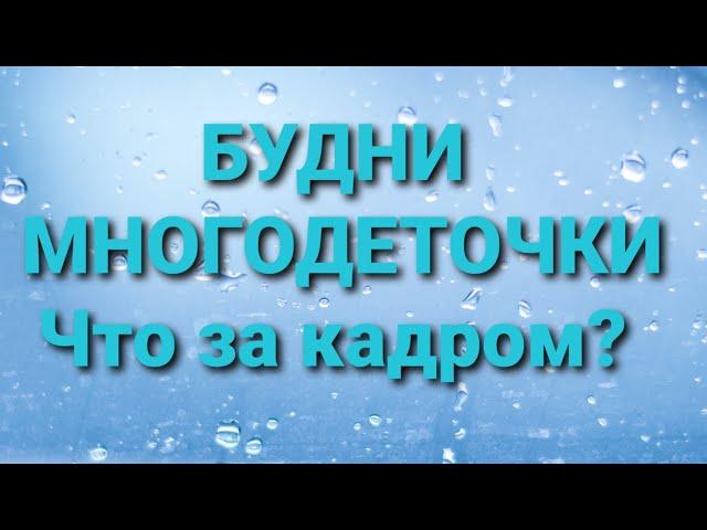 Будни Многодеточки/Обзор.