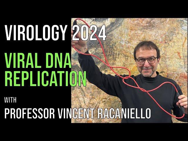 Virology Lectures 2024 #8: Viral DNA replication