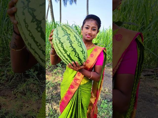 Watermelon Lemon Juice Fruit Juice Making #shorts