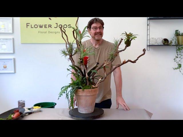 How To Make A Bromeliad Tree Plant Design For A Jungle Vibe