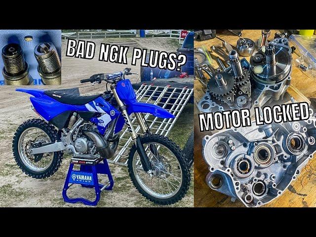 MY YZ250 LOCKED UP IN FLORIDA | PUNTA GORDA MX