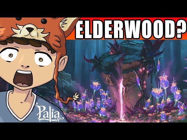 PALIA - IST DAS ELDERWOOD?! 