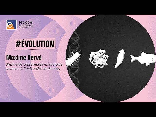  [Maxime Hervé] L'évolution du vivant, un progrès ?